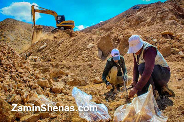 زمین شناس چه ویژگی هایی دارد؟