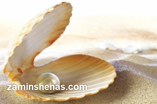 محبوب ترین سنگ های نیمه قیمتی و ویژگی های آن ها